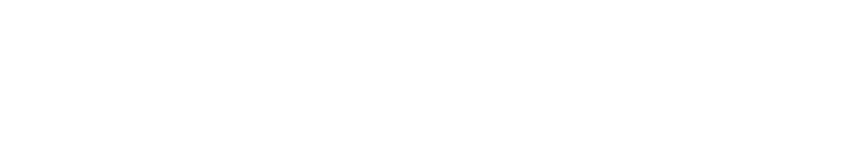 Level Aquatic Logo
